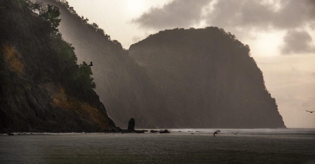 cariacou02212_1024x534