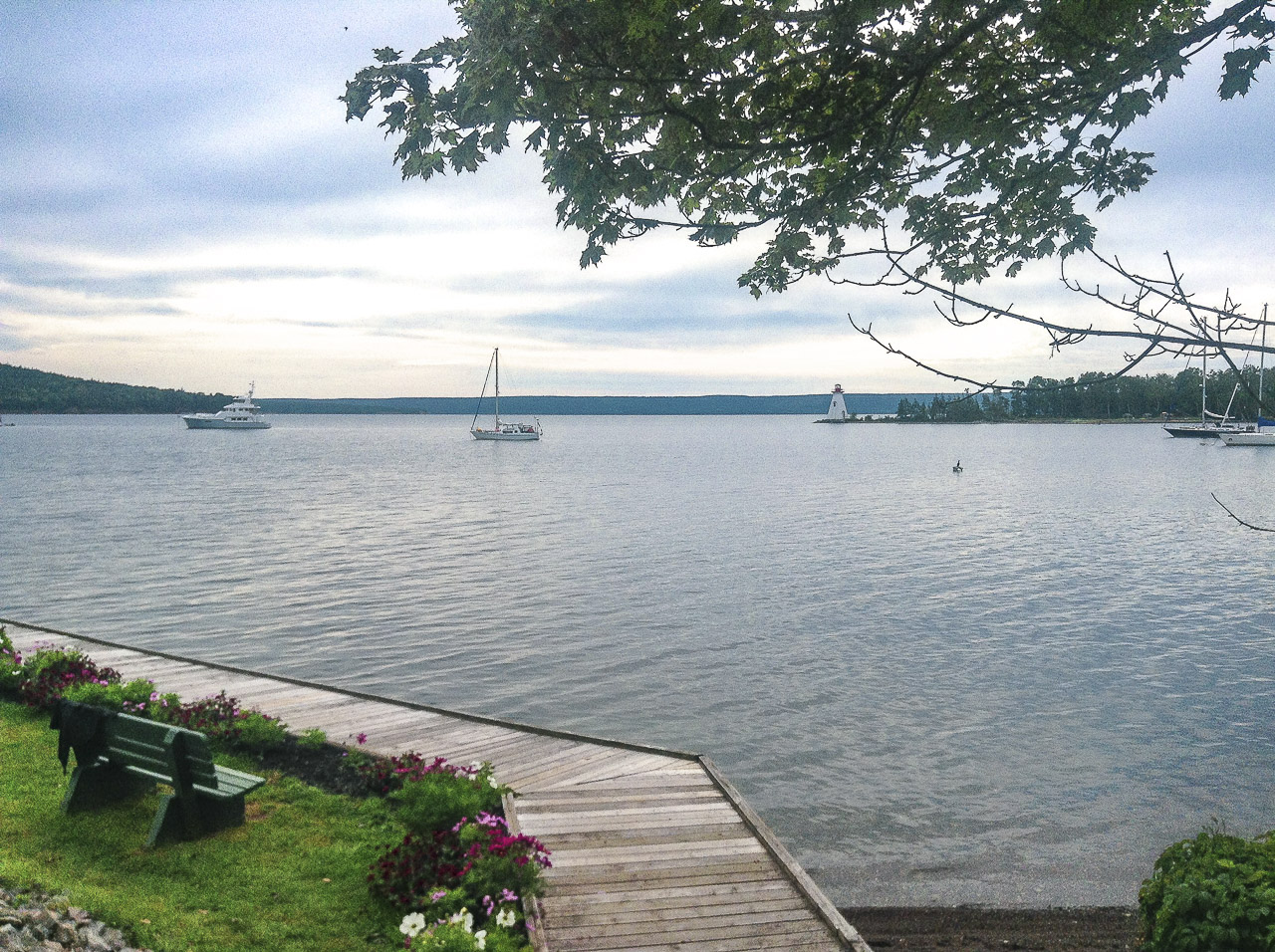 cb baddeck-adelie-0843