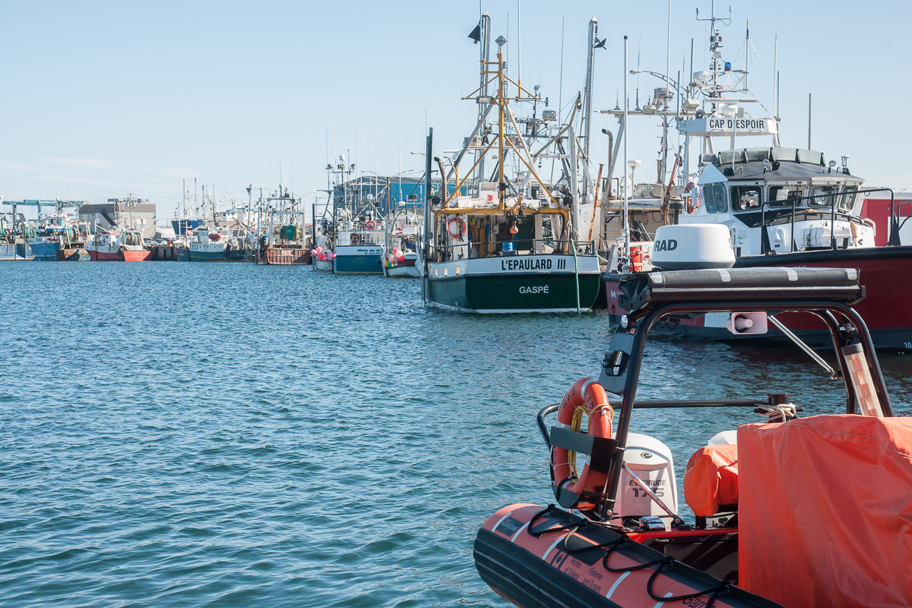 riviereaurenard 03523