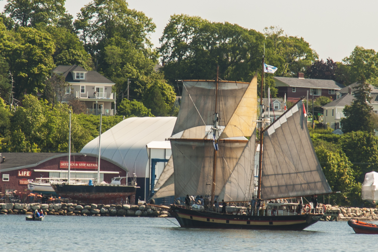 tall_ships_regatta 03417
