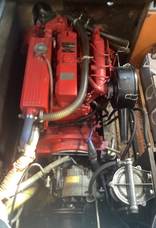 mot_IMG_3754.JPG